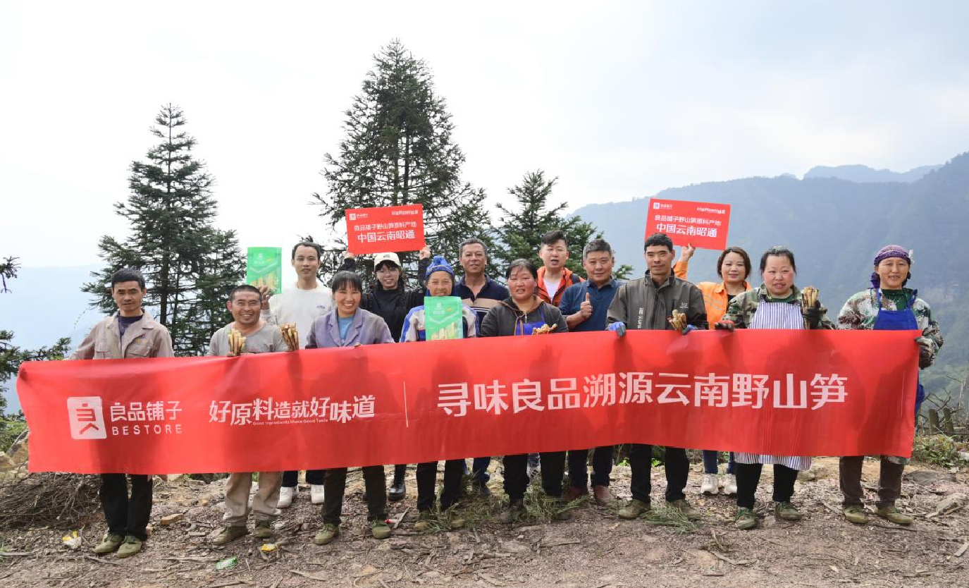 好原料造就好味道，良品鋪?zhàn)右吧焦S來(lái)自云南深山“筍中之冠”